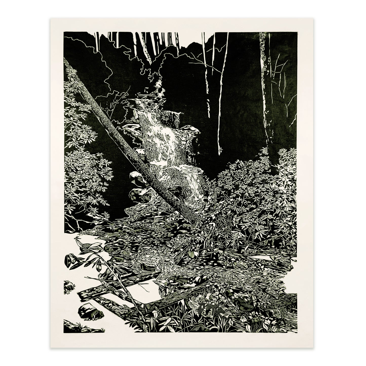 Log Hollow Falls Woodcut Print