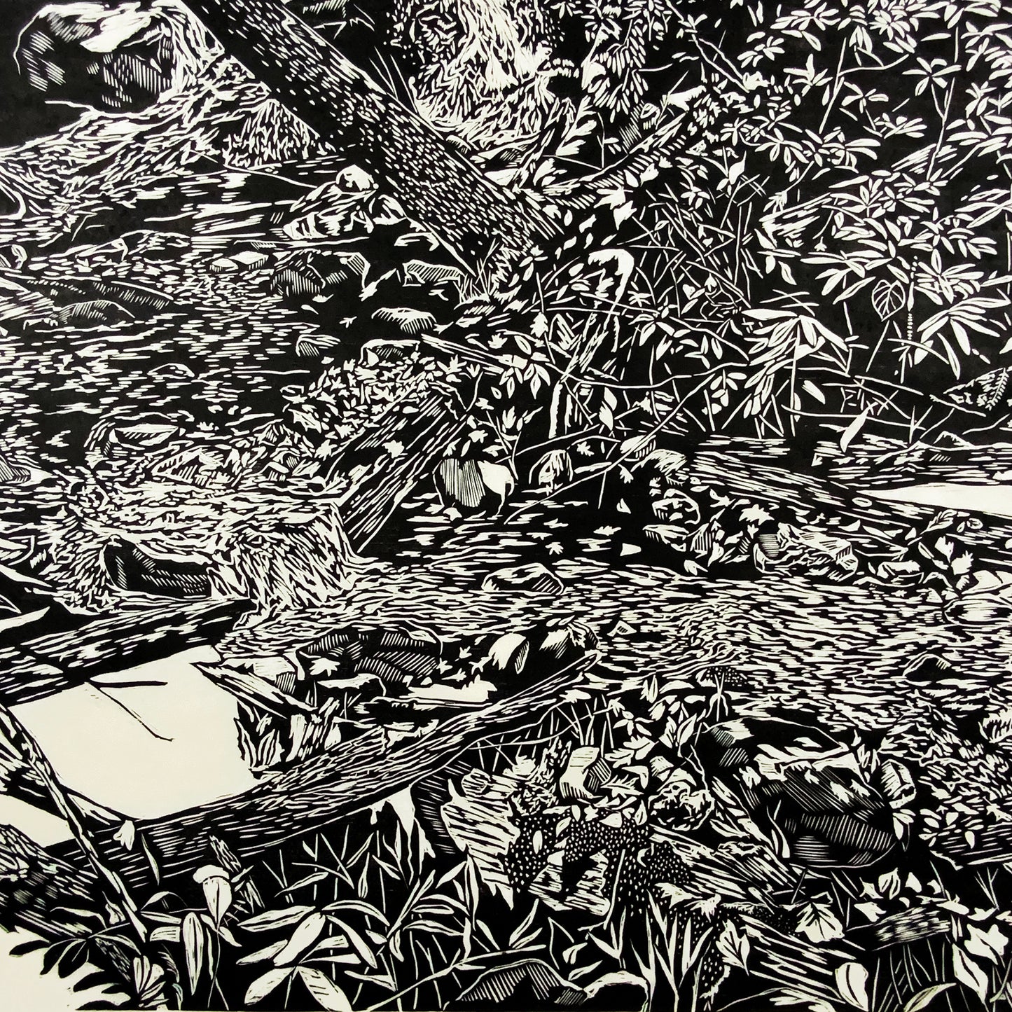Log Hollow Falls Woodcut Print