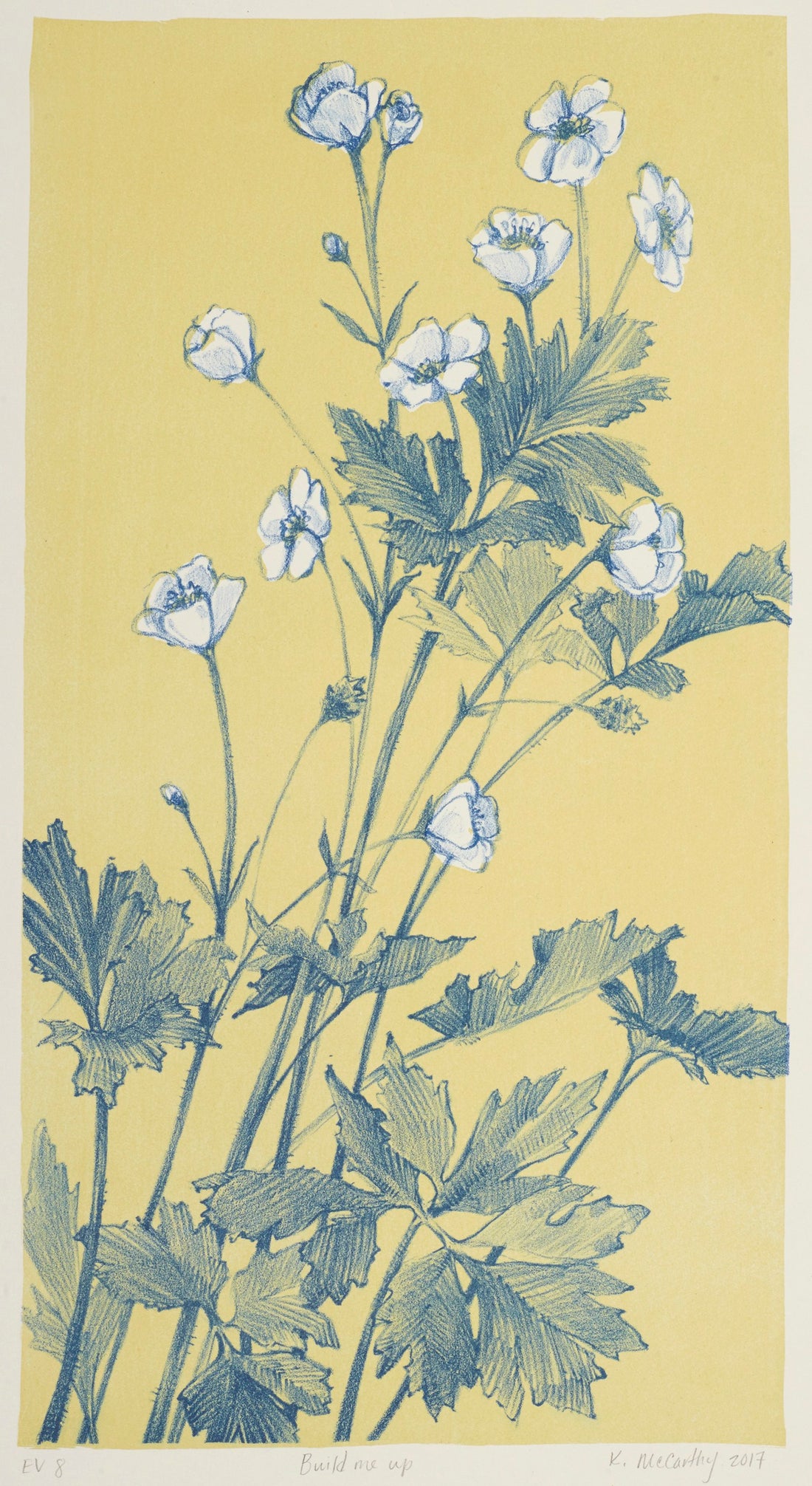 OVERLOOKED - OVERGROWN | Kimberly McCarthy