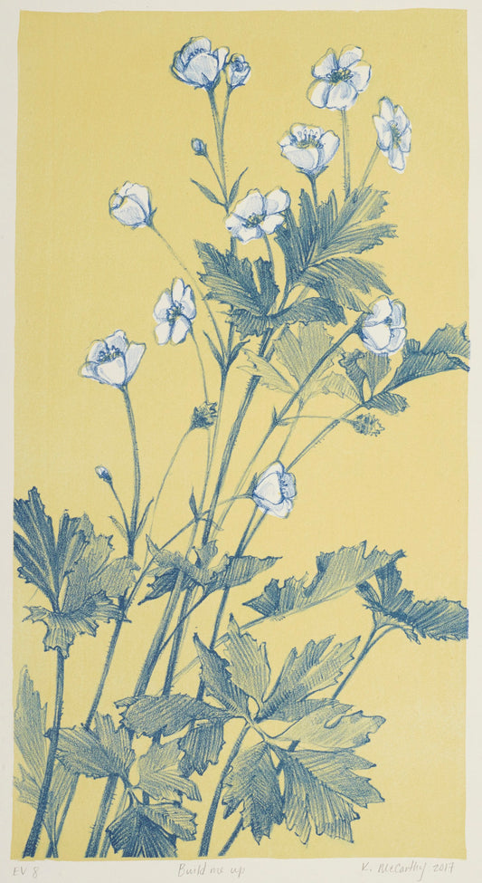 OVERLOOKED - OVERGROWN | Kimberly McCarthy