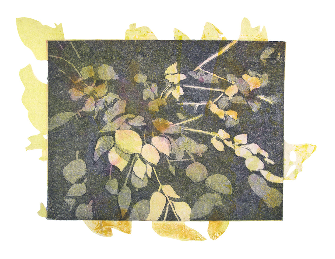 TURF | Taryn McMahon