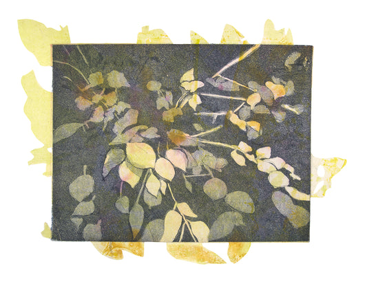 TURF | Taryn McMahon