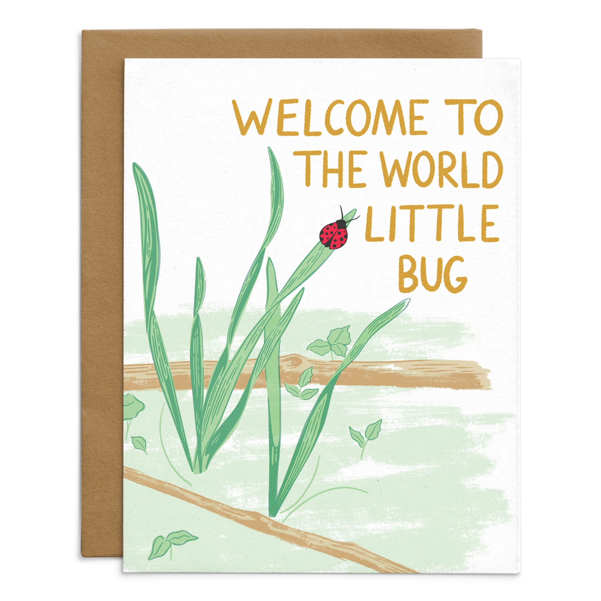 Little Bug Card