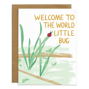 Little Bug Card