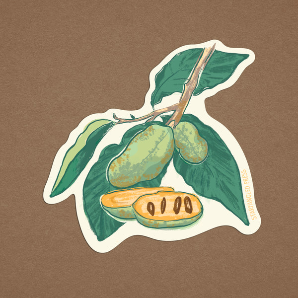 Pawpaw Plant Sticker