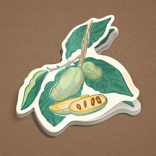 Pawpaw Plant Sticker