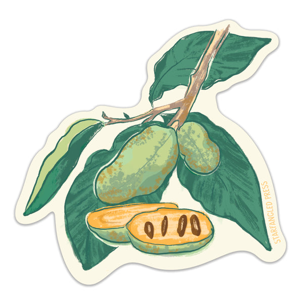 Pawpaw Plant Sticker