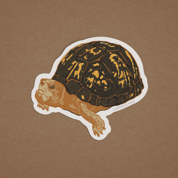 Box Turtle Sticker