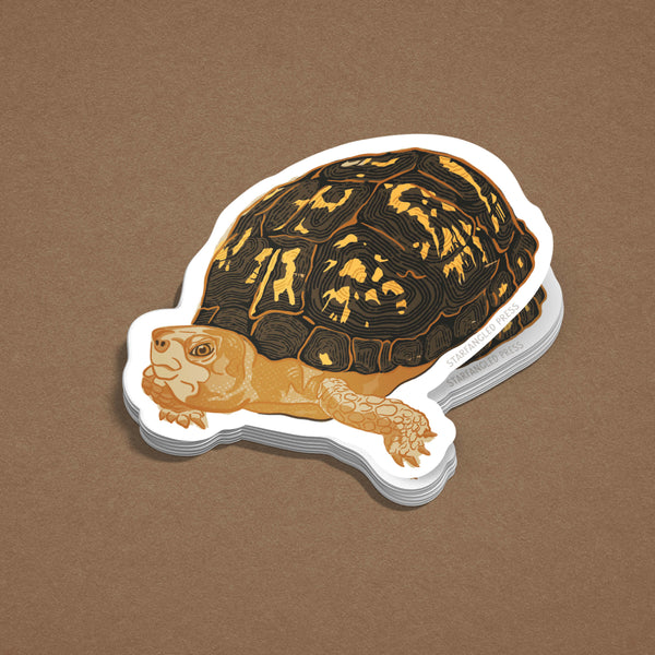 Box Turtle Sticker