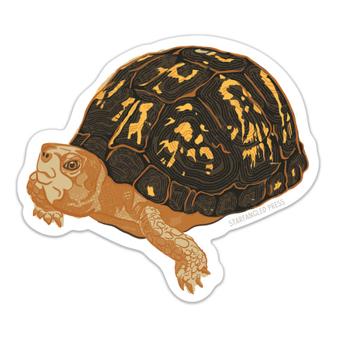 Box Turtle Sticker