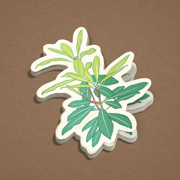 Rhododendron New Growth Sticker