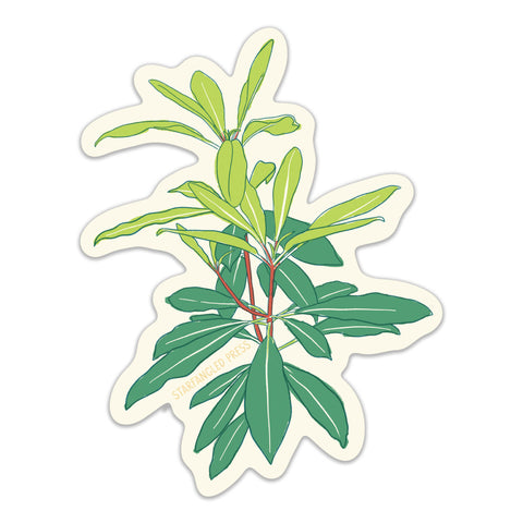 Rhododendron New Growth Sticker