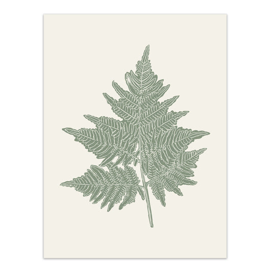 White Line Fern Screenprint