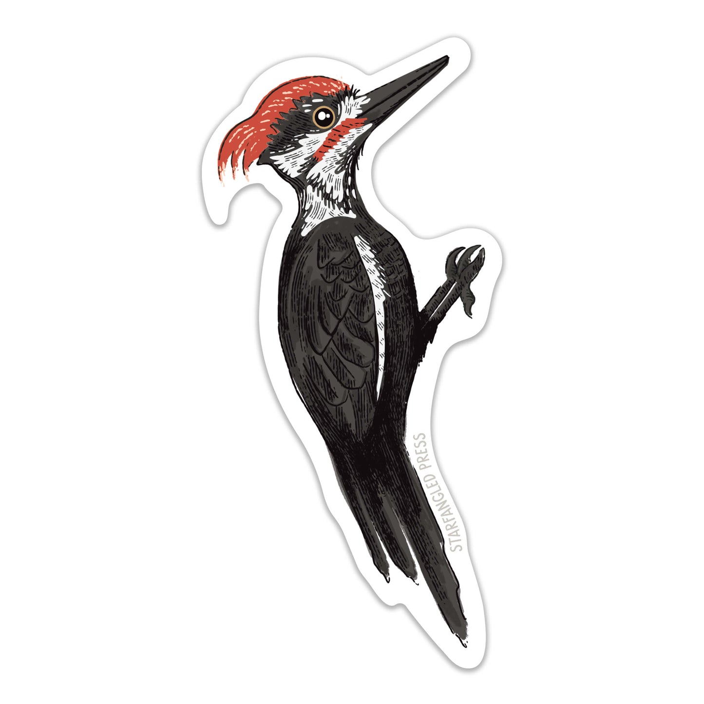 Woodpecker Sticker