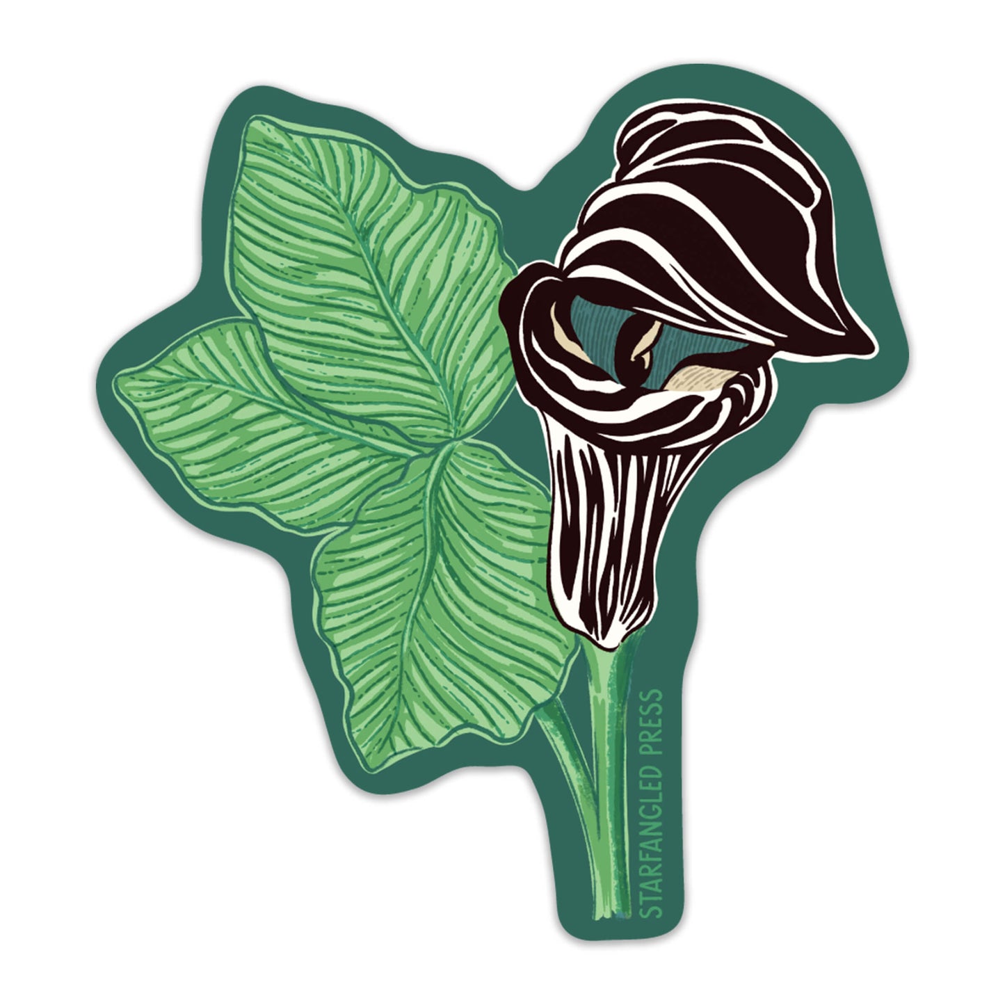 Jack-In-The-Pulpit Sticker