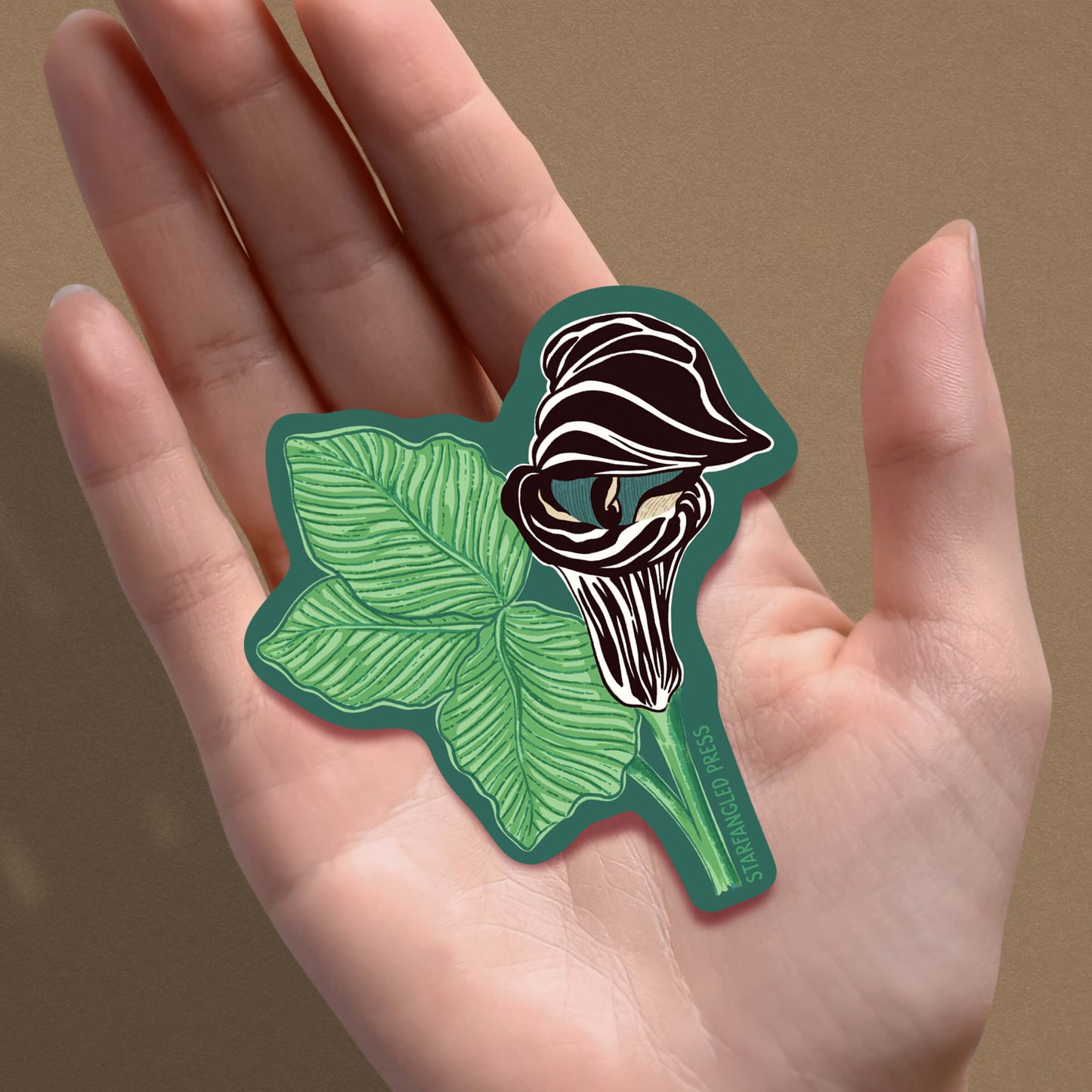 Jack-In-The-Pulpit Sticker