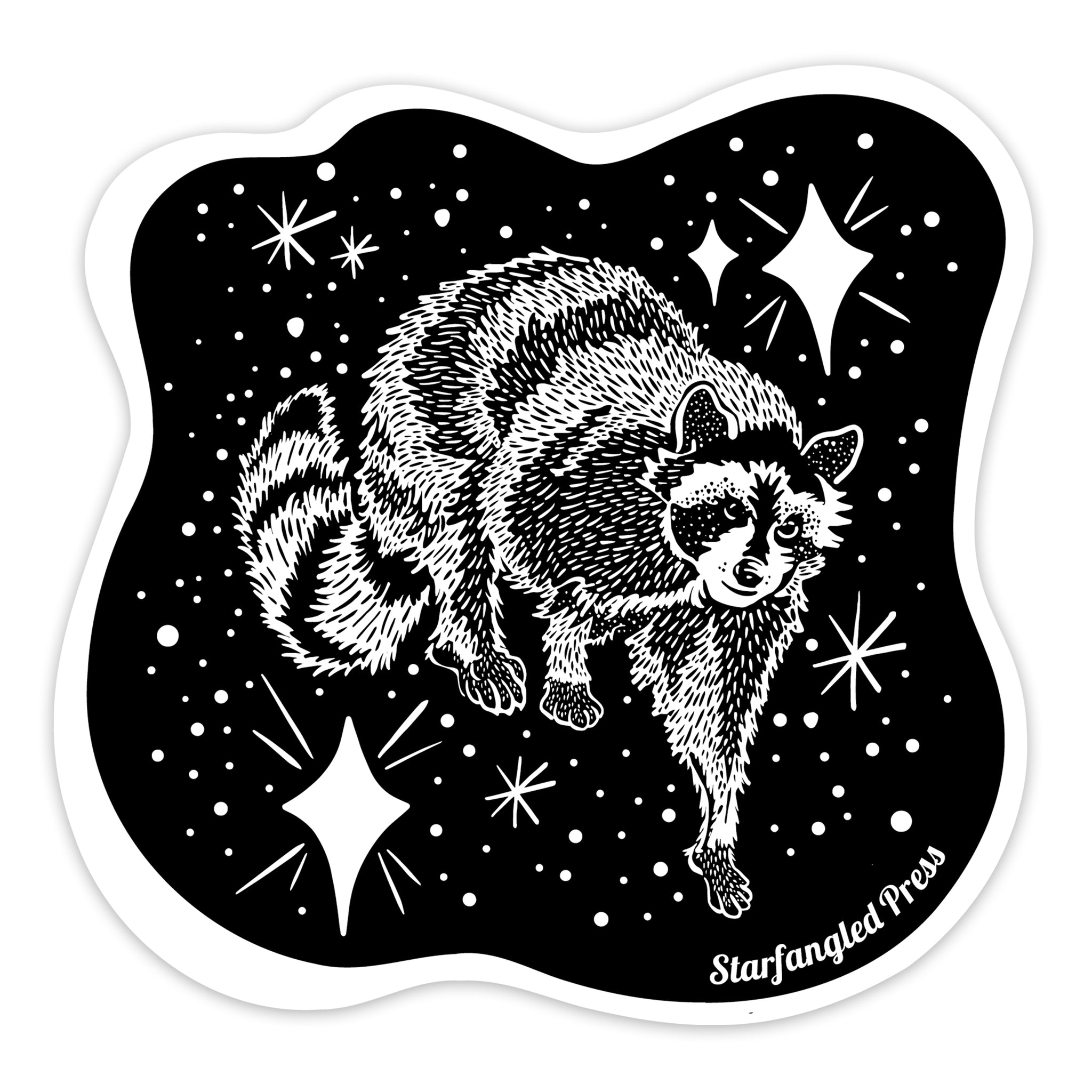 Cosmic Raccoon 3" Vinyl Sticker