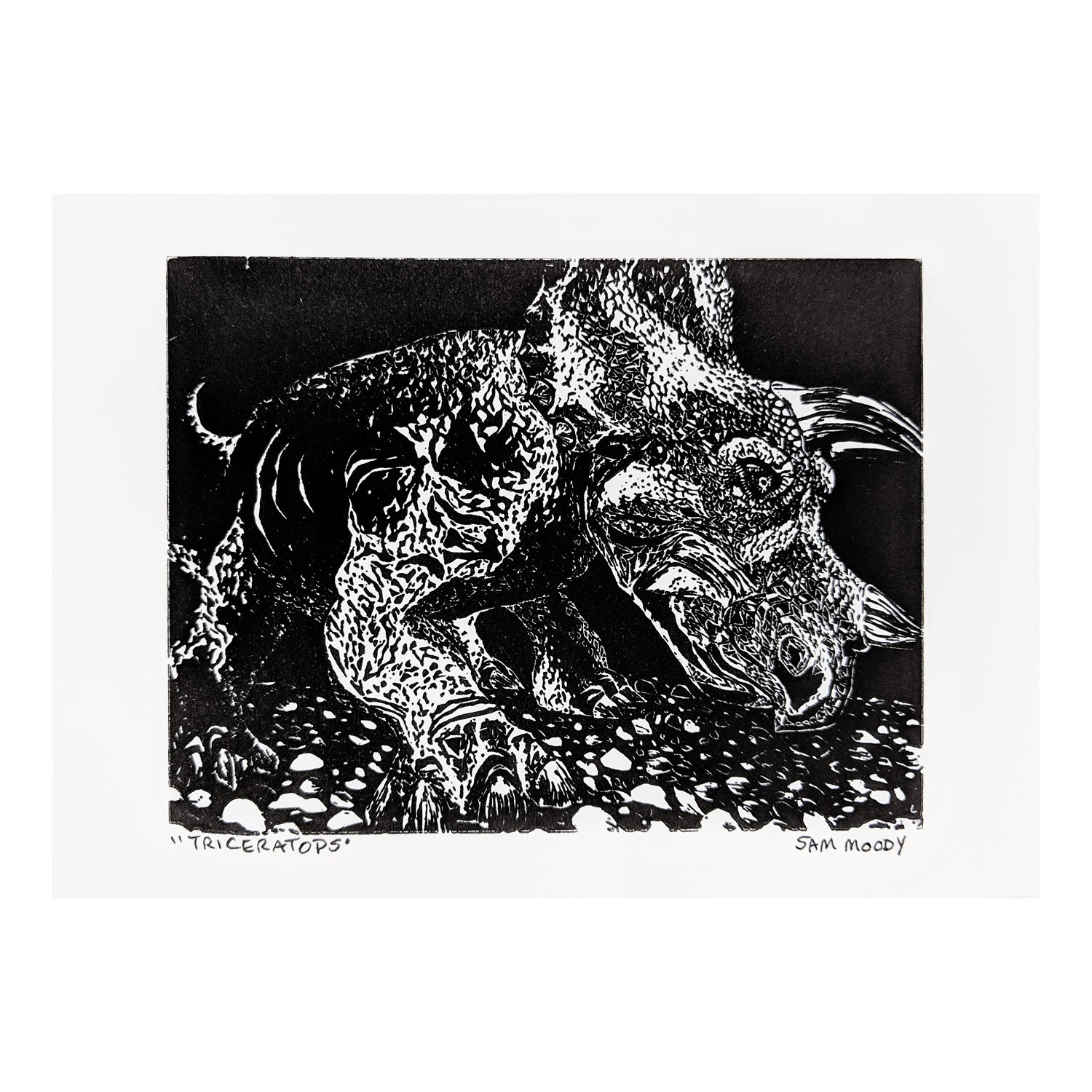 Mini Triceratops Print