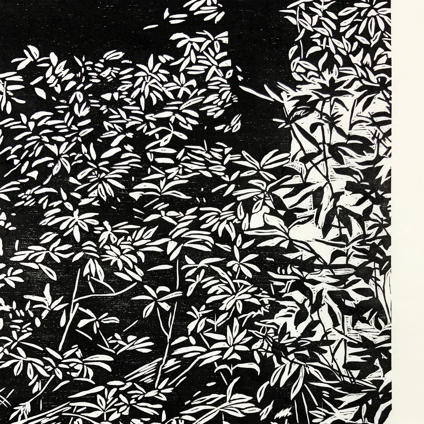 Log Hollow Falls Woodcut Print