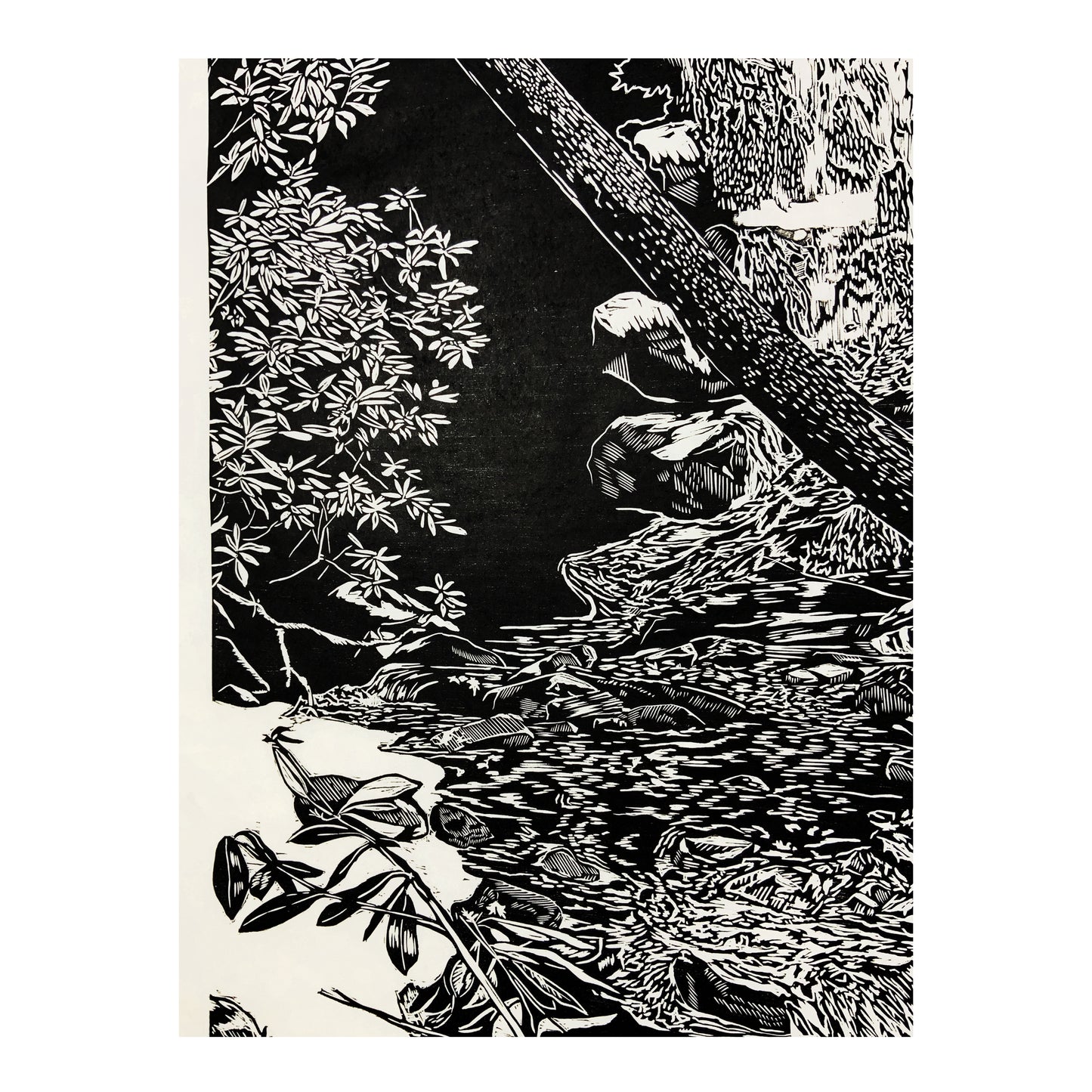 Log Hollow Falls Woodcut Print