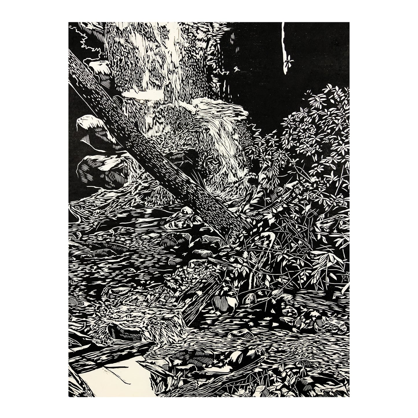 Log Hollow Falls Woodcut Print