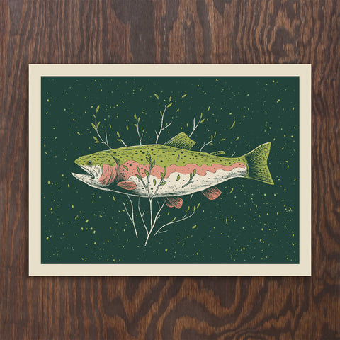 Rainbow Trout